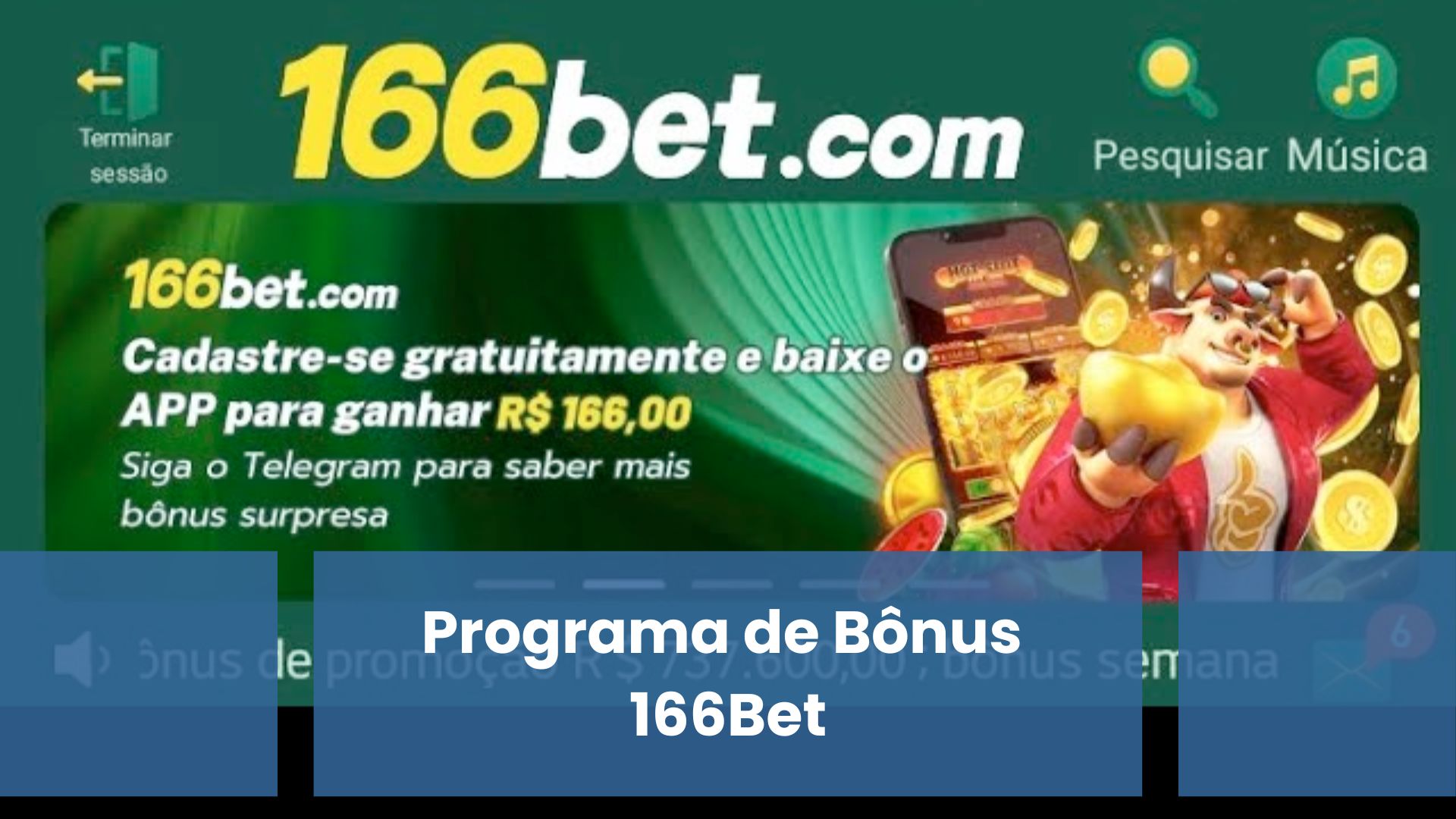 Programa de Bônus 166Bet